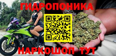 прущий лед Владимир