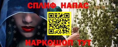 молекула духа Вышний Волочёк