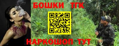 молекула духа Вышний Волочёк